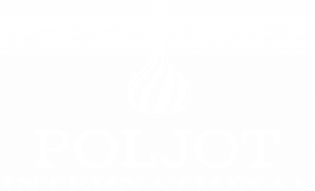 Poljot Watches - Tourbillon - Automatic Watch - Russian watch - automatik uhren - poljot international